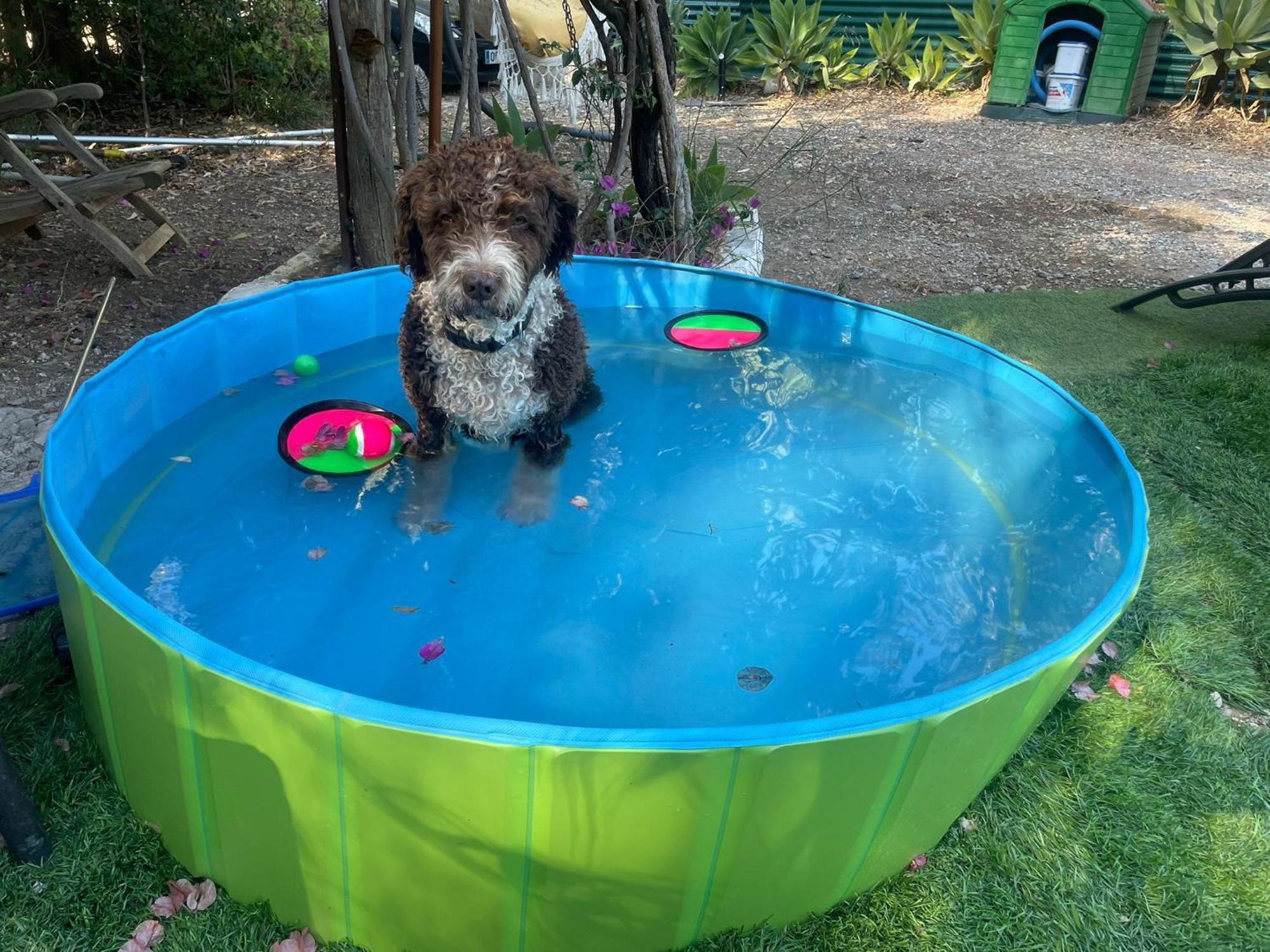Casa Rural Con Piscina Viajar Con Mascota Gaucín Exterior foto